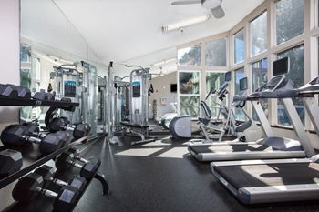a gym with weights and cardio equipment and windows  at Skyline Heights LLC, Daly City, 94015
